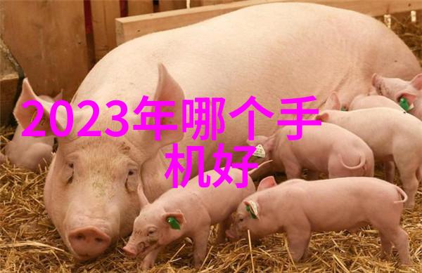 我同桌C了我一节课问题-课间纠缠揭秘C字背后的谜团