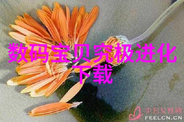 新时代新品金鼎杀菌釜革新厨房卫生标准