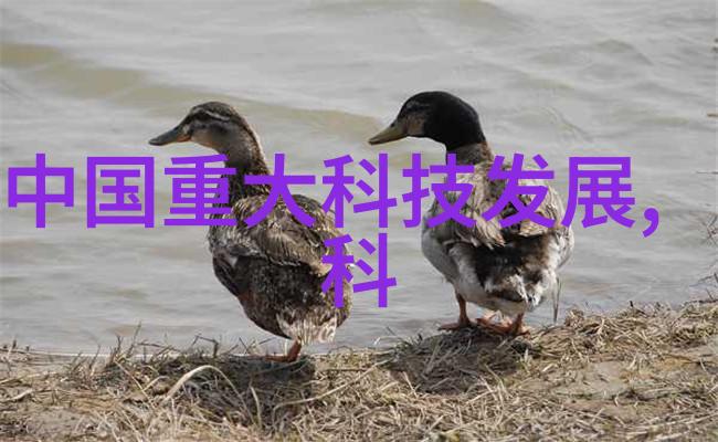 书桌高度合理的办公空间设计