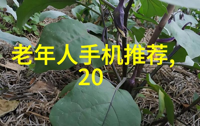 儿童梦想空间的创造让小天使的房间充满魔法与欢乐