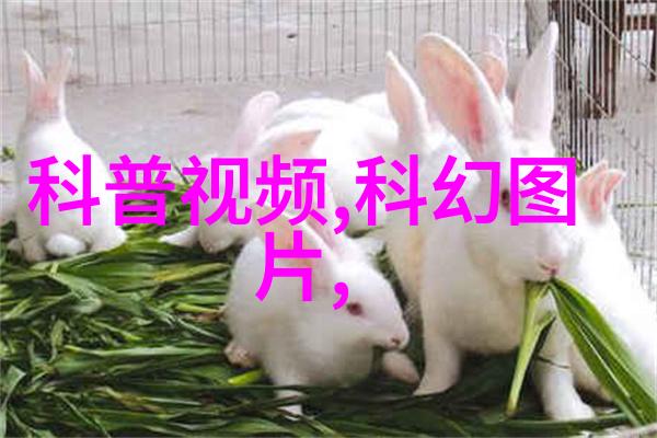 抗倍特板高效防晒护肤品