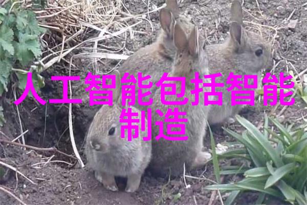化工股市分析中国化工行情网解读