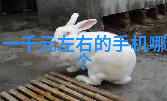 当遇到特殊形状或尺寸的物品时如何适应地进行丝网波纹填充操作