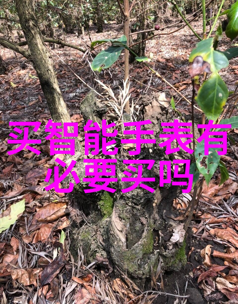锦鲤是个技术活我是怎么把它们从水里捞出来的