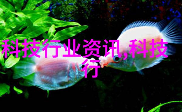 环填料-规整之心环填料的秩序与功能