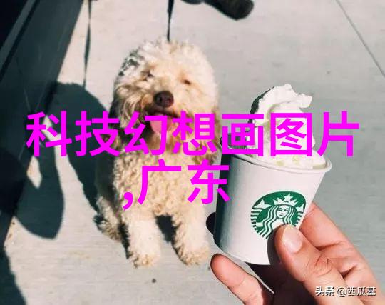 家居美学打造梦想空间的装修设计培训课程