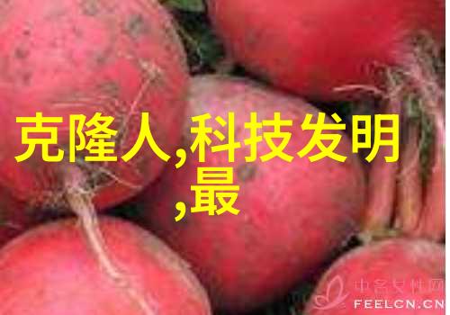 织网奇巧波纹填料的艺术探索