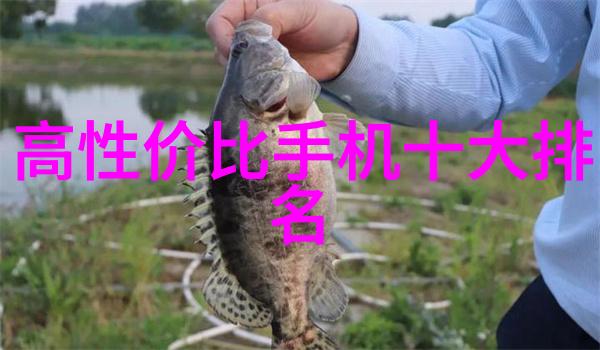 主题姜可里的我与林慕一个关于友情的故事