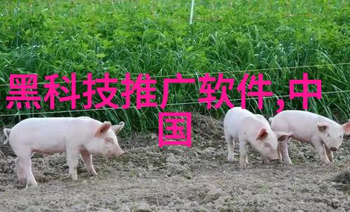 Aspen波纹丝网填料高效隔热的绿色建筑材料