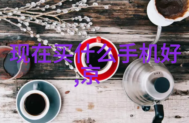 移动式泥石分离机高效便捷的土工机械