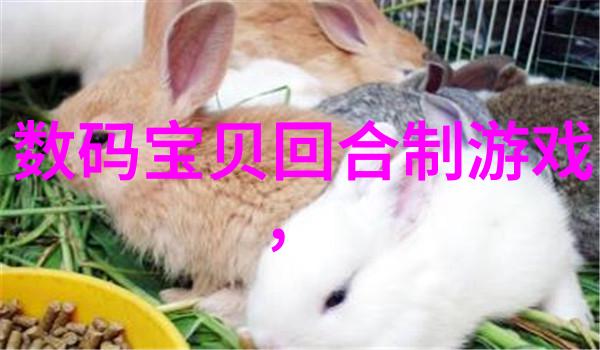 波纹管回填规范要求我的工程指南