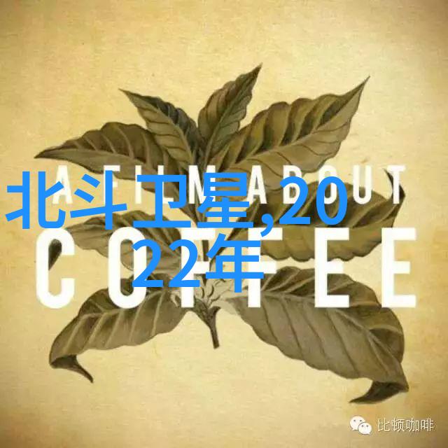 个人职业成就回顾与展望