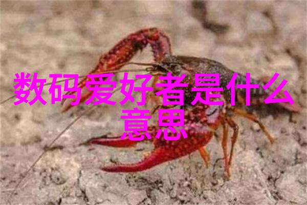陕西财经职业技术学院从0到英雄的金钱魔法师