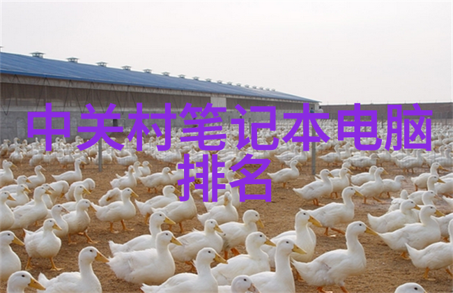 青岛科研机构探索节能减排的绿色科学仪器路线