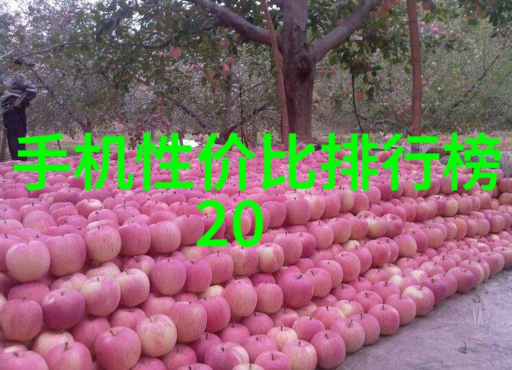 防腐涂塑钢管厂家保质保量的绿色建材选择