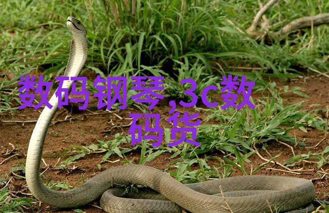 绿色环保时尚前卫自制不锈钢家具设计大师课