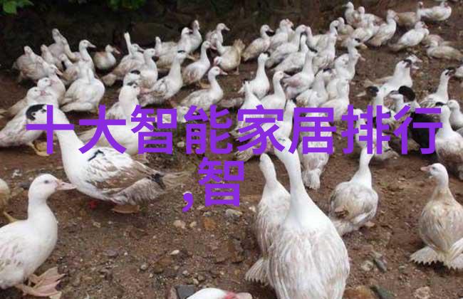 塔的填充之谜揭秘建筑中的功能性装饰