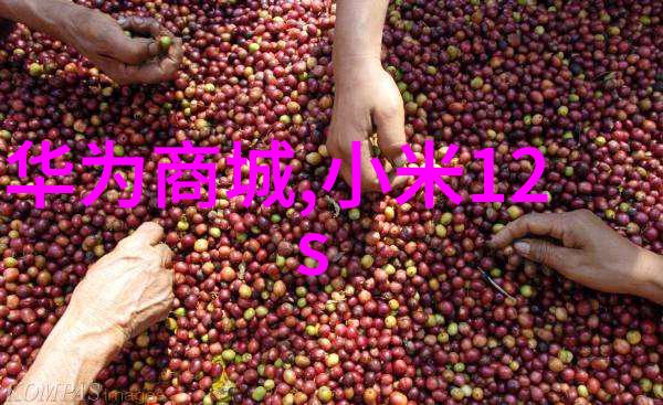 干涸地BY火风L我在干涸的地上找到了你