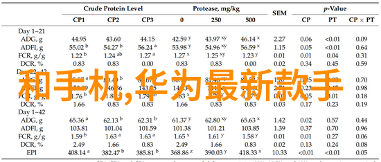 不锈钢输送机-高效无瑕不锈钢输送机在现代工业中的应用与优势