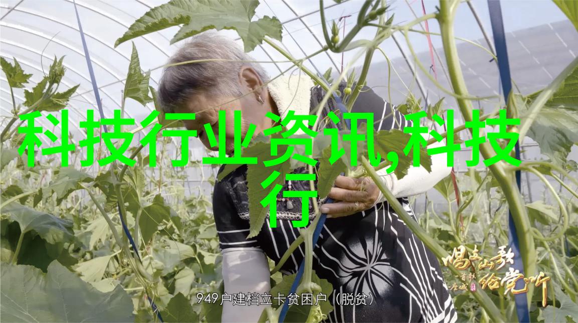 灯草花尚探索国语免费版背后的文化魅力