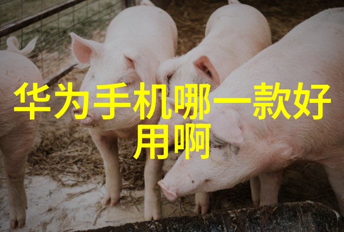 化学反应实验室设备图解化学实验室设备的详细图解
