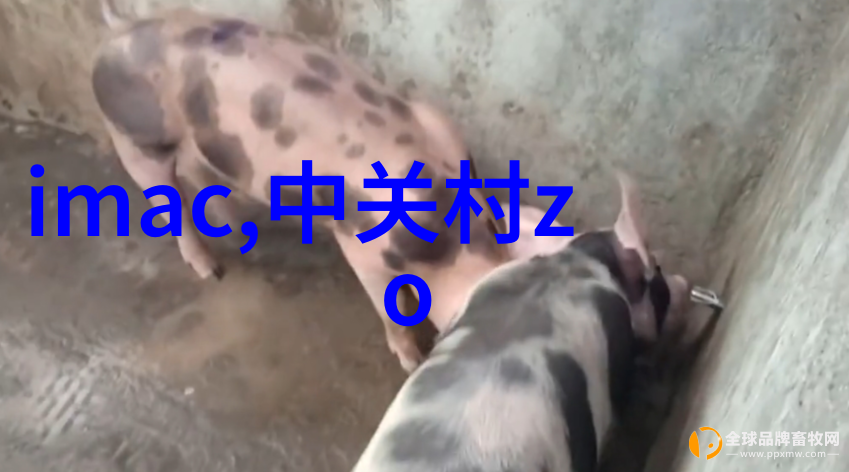 韩国夫妻客厅互换探索文化交融的新方式