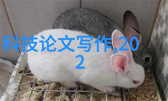 未来五年哪些技术将改变我们的物料輸送設備