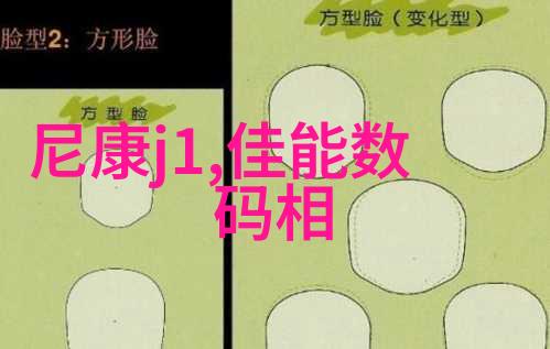 全自动蒸汽发生器高效能蒸汽输出系统