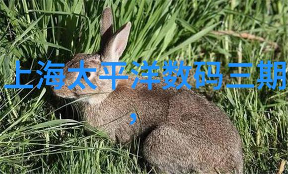 环境净化设备-守护地球家园的绿色卫士