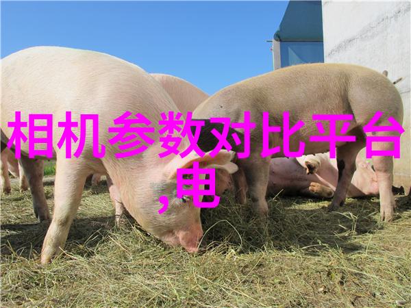 洗涤废水处理设备清洁未来绿色环保的新选择