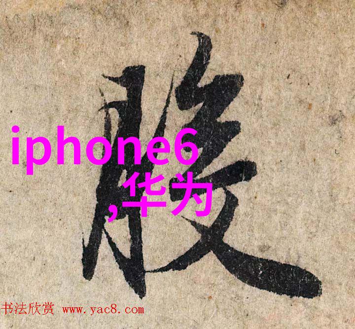 上证红利510880市盈率剖析股息投资的价值与风险