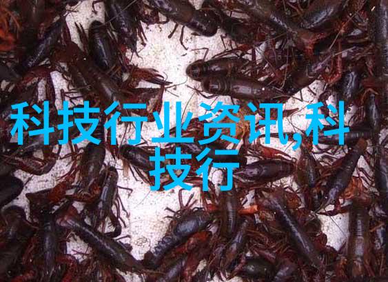 家居美学揭秘装修半包服务的全貌