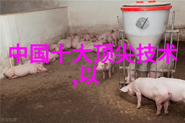 卫生间装修实用技巧家居美化小贴士