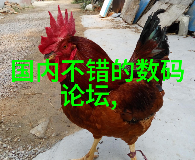 化工片剂机械精准打磨制药生产的关键设备