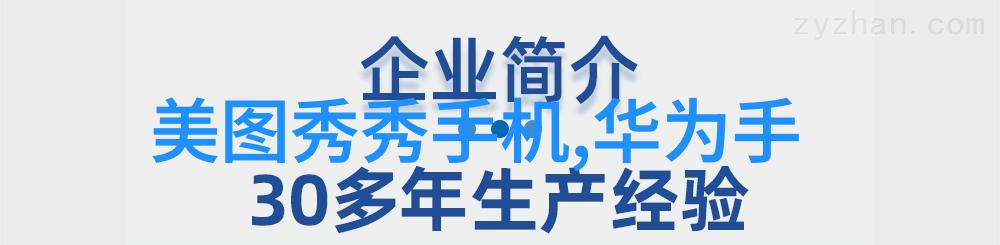 当权力遇上道德当热情遇上责任时我们该怎么选择和处理德爱威的冲突