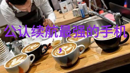 高效粉体输送系统的设计原则
