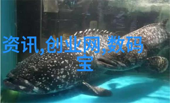 哺乳期妈妈4G玉蒲团奶水喷涌母婴健康哺乳期挑战4G美妆团体