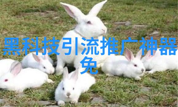 从原理到实践学习如何自我安装常见的车载附件