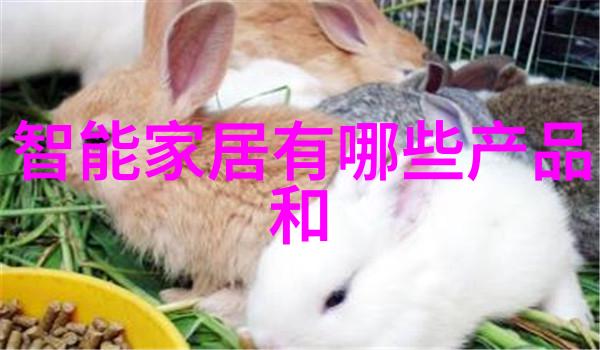 在这座大车汽车配件批发市场是否有神秘的交易背后