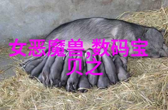 一体化废水处理设备在工业废水处理中的应用