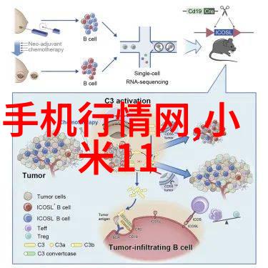 现代浴室设计干湿分离的智慧与美学