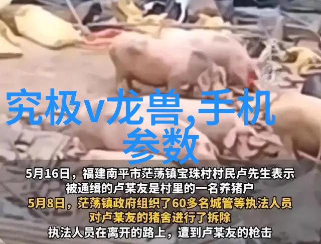 最后人类的守护者生存技术与社会重建
