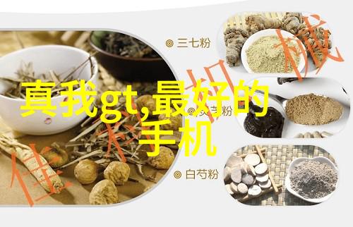 单位打报告申请模板制定指南