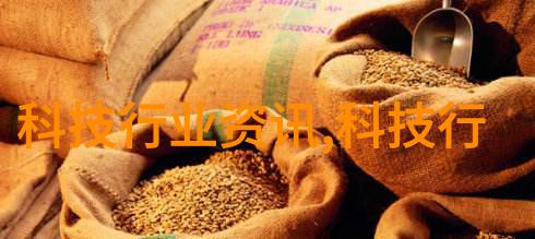 卫生间的秘密重生改造之谜解锁前行路