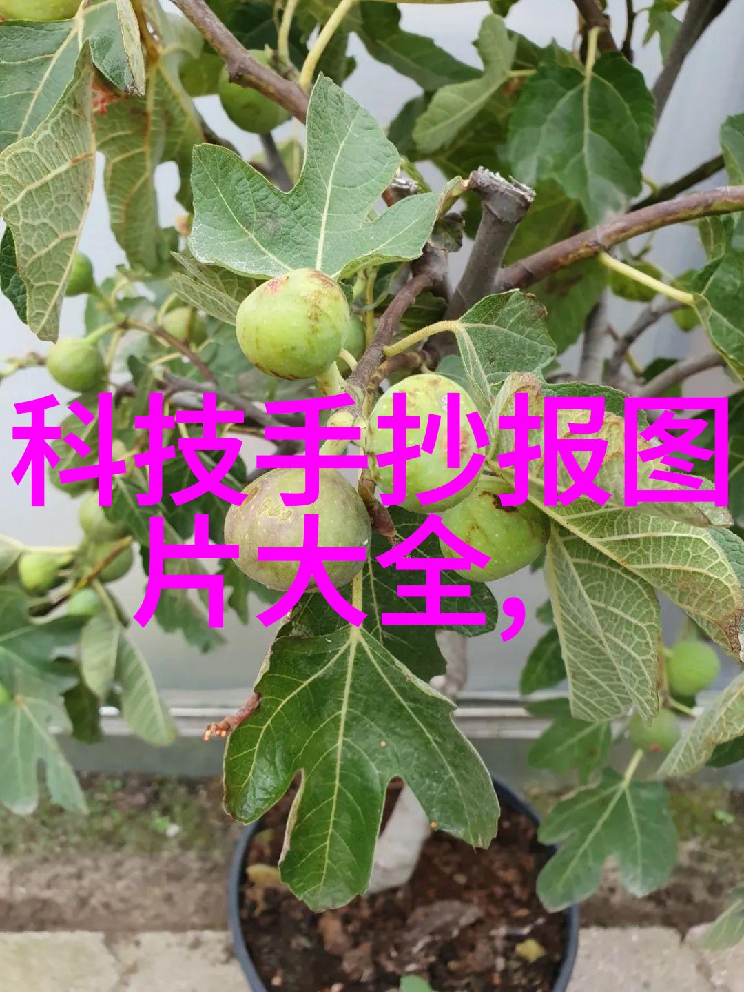 家居美学与经济效益相结合优化4平卫装修计划