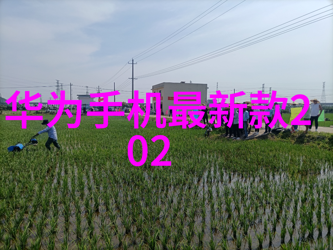 地铁城市的脉动与学长的故事