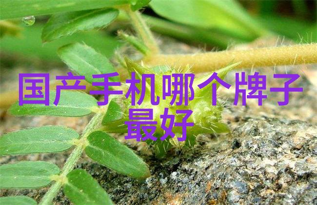感恩节日期秋风中的感恩祭典