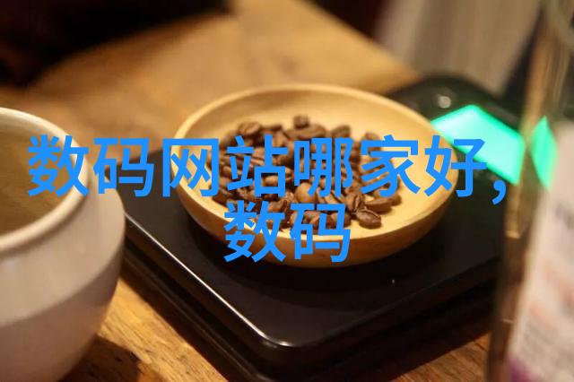 不锈钢填料是干什么用我告诉你它的秘密