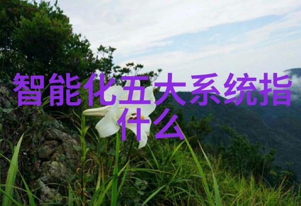 汽车行业中应用的双级反渗透解决方案