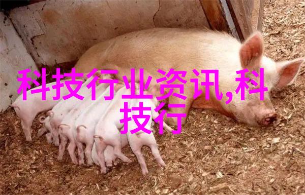 化工压力仪器探索科学奥秘之门